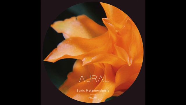 Aural - Stinger Barb (Polaskia Chichipe) смотреть онлайн