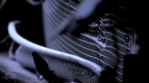 КАК ВЫЖИТЬ В АВТОКАТАСТРОФЕ?