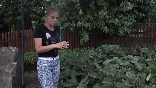 Срочно!!! Пора копать! Когда выкапывать лук и чеснок