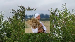 8 сентября. Наталья Овсяница и Адриан Осенний. Народные приметы и традиции на Наталью.