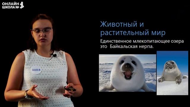 Байкал. Видеоурок 31.2. География 9 класс
