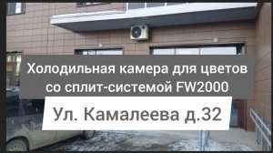 Холодильная камера для цветов со сплит-системой. Фриз-холод. Казань, Камалеева 32