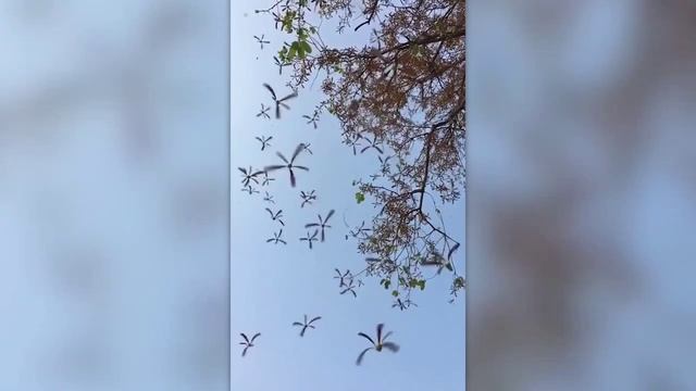 ввс смотреть онлайн