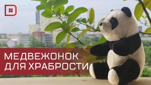 8-летний дагестанец отправил в Курскую область своего медвежонка