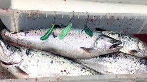 Морской троллинг с Higashi