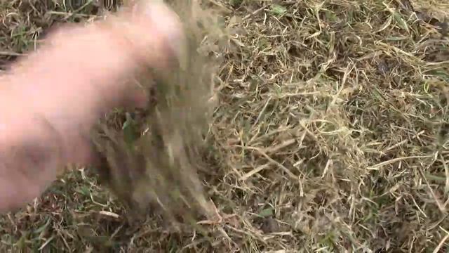 ВЕСНА.  Апрельский  репортаж. "Всему своё время"
