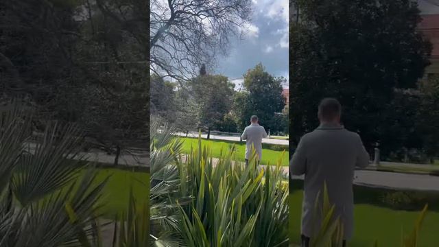 Цветет магнолия в #сочи 31.03.2023 смотреть онлайн