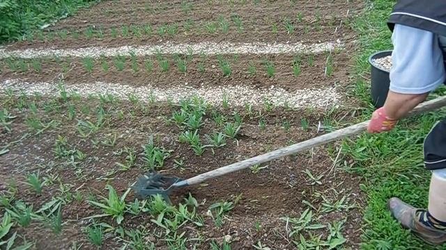 Переработка и использование растительных отходов. Часть 1. Сухие ветки