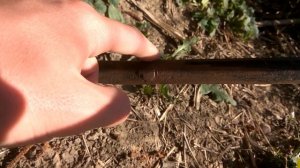 Изрядно побитая жизнью ЖВЗ В-140 "Десна", которая очень нуждается в реставрации...