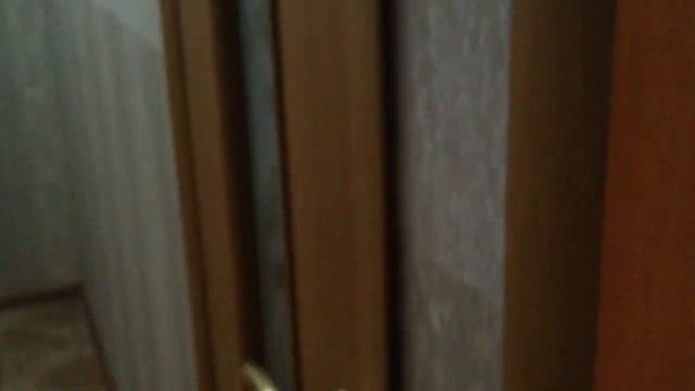 Делем коридор потолок+ поклейка обоев +межкомнатная дверь+ входная дверь+пол смотреть онлайн