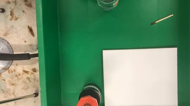 Testing a leaf for starch for IGCSE Biology