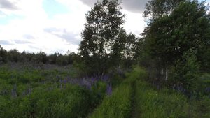 Просторы деревни Облепиха Гусь-Хрустальный район