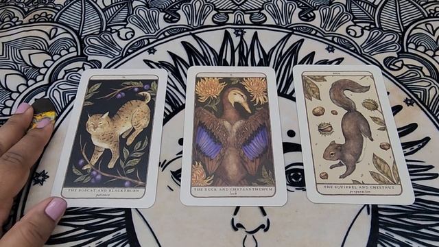 Your Next Big Blessing ?Pick a card reading смотреть онлайн