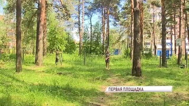 В Ярославле начали устанавливать первую площадку для выгула собак смотреть онлайн