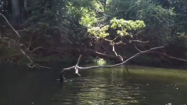 Новий сплав: Горинь смотреть онлайн