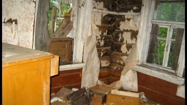 Деревня Васильки, Рамешковский район, Тверская область, Россия
