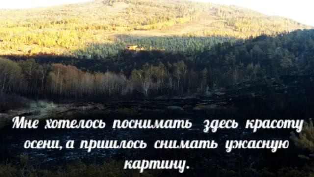 4.10.2019 г. Виды окрестности оз. Жасыбай после пожара. смотреть онлайн