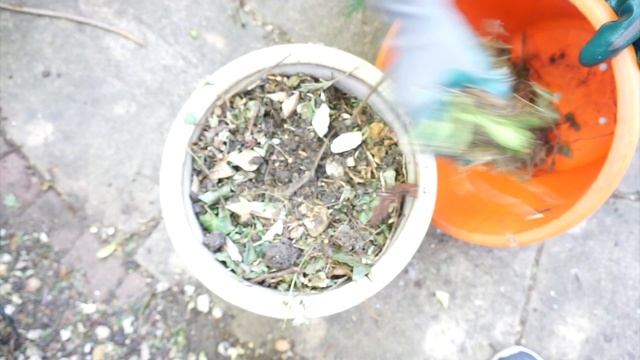காய்கறி கழிவுகளை FASTஆ உரமாக்குவது எப்படி? Make Compost from Kitchen Waste| How to make compost fas смотреть онлайн