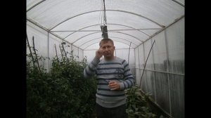 Инфракрасный обогреватель для курятника и теплицы в зимний период