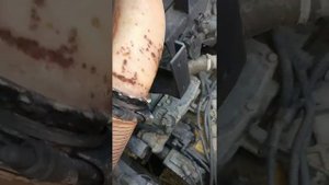 Рено Магнум Перестали включатся первые  четыре передачи. В чем причина.