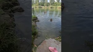 17.08.22 дача Волгодонск судоходный канал Дон-Волга(3)