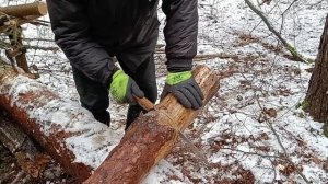 Ночёвка ЗИМОЙ в лесу | Мокрый снег | Строительство укрытия для выживания | Бушкрафт | bushcraft.