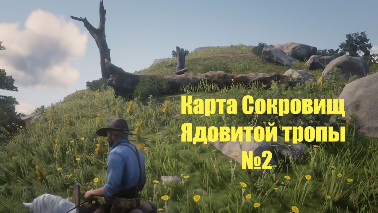 Карта сокровищ ядовитая тропа rdr 2