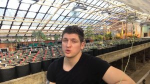 Азы ухода за суккулентами - самые важные моменты для новичков