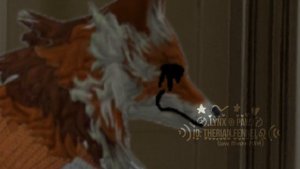 -:: Страшилка "Зеркало в шкафу" | WildCraft | lynx_pawz🫶🏻