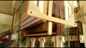 переход с дадана на рут. Обрезка рамок. Виталий Клименко