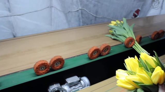 сортировка тюльпанов линией смотреть онлайн