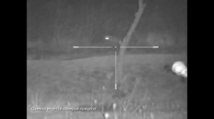 Охота на шакала на приваде. Часть 3.