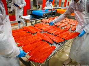 Срочно!!! Рыбообработчики на рыбзавод!