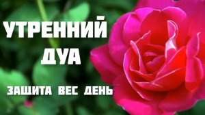 утренний дуа защищает вас от всех проблем