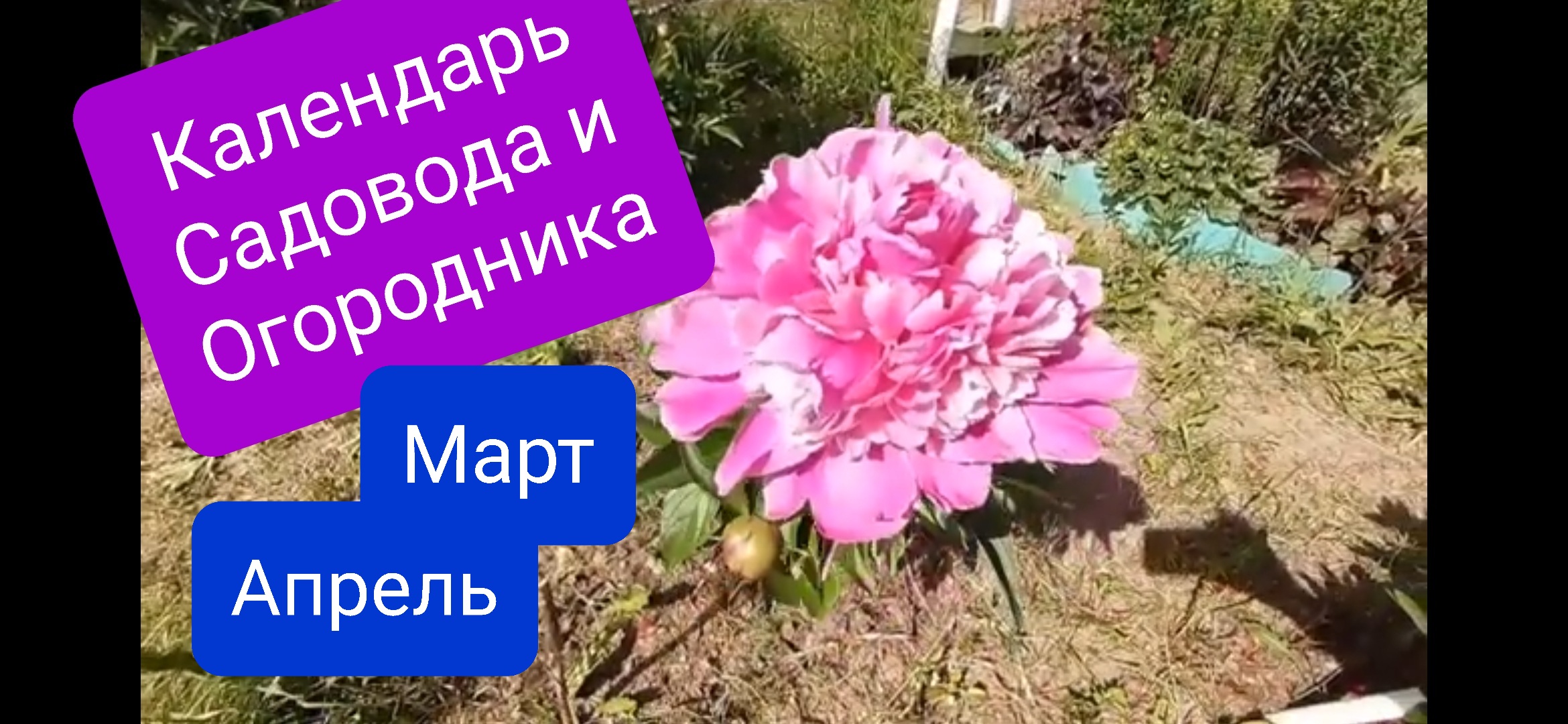 Посевной календарь на Март и Апрель 2023 года. Для Приволжского округа, Урала и Западной Сибири.