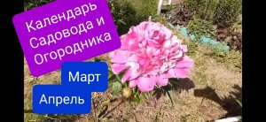 Посевной календарь на Март и Апрель 2023 года. Для Приволжского округа, Урала и Западной Сибири.