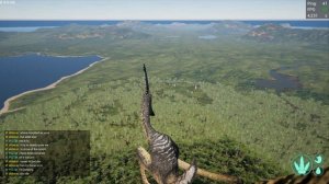 Pteranodon Flying - The Isle