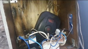 копчение клариевого сома