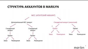 Структура аккаунтов