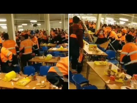 Массовая драка в заводской столовой в Амурской области