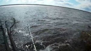 Рыбалка на закидуху | Северная Двина