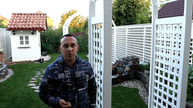 Озеленення подвір'я котеджного типу
