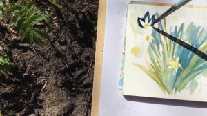 Видеоурок «Нарциссы акварелью»