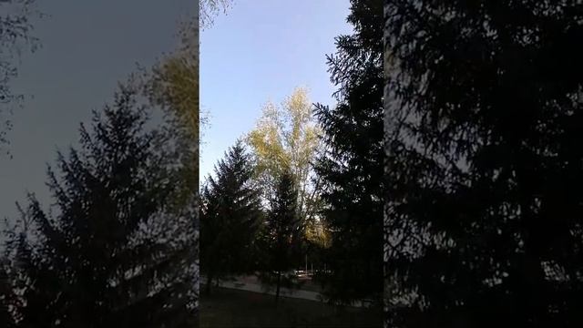 Звуки Природы/ стихия Земля —Воздух.