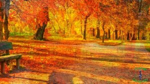 С первым днем Осени  Красивое видео поздравление