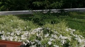 ОТДЫХАЕМ, НЕ СКУЧАЕМ. ПАНСИОНАТ ЛЕСНЫЕ ДАЛИ