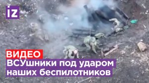 «Видят птиц — начинают разбегаться»: операторы БПЛА уничтожили пехоту ВСУ под Вербовым / Известия