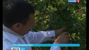 Пухляковский агропромышленный техникум потерял яблоневый сад.mp4