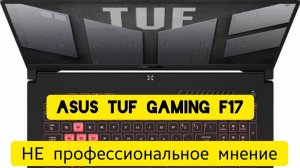 Игровой ноутбук ASUS TUF Gaming A17 FA707RM/AMD Ryzen 7/GeForce RTX 3060/НЕ профессиональное мнение
