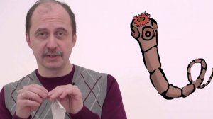 Мусорное биомоделирование. Черви. Часть 2.